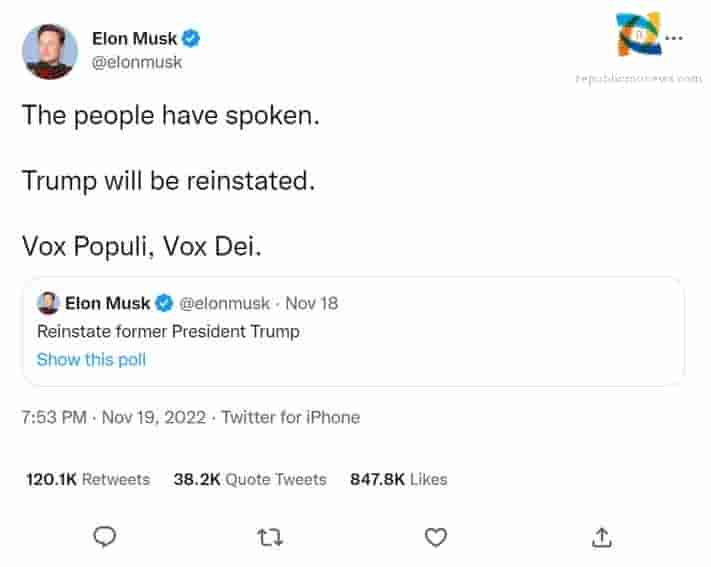 Elon Musk Twitter Poll