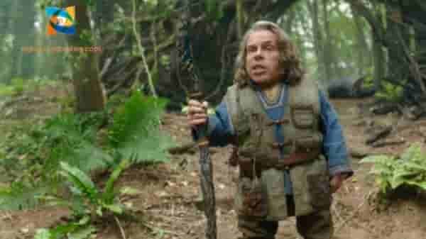 Is Warwick Davis in the New Willow