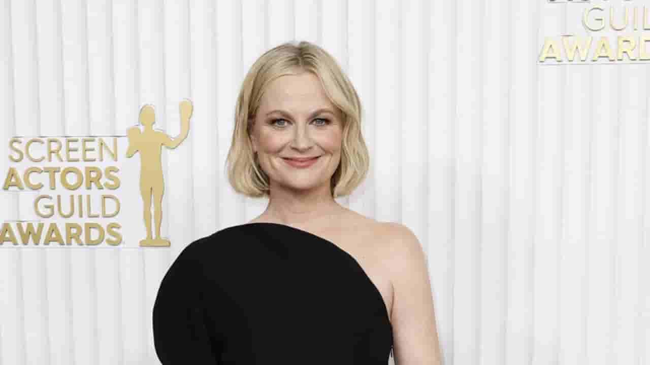 Amy Poehler Age